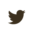 twitter-icon